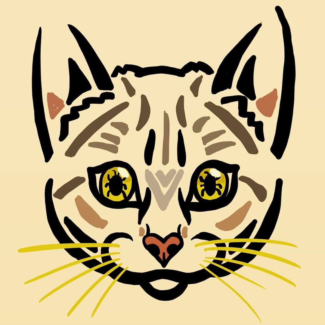 納谷健のインスタグラム：「君は可愛い猫ちゃん  #たけるの一コマ日記」
