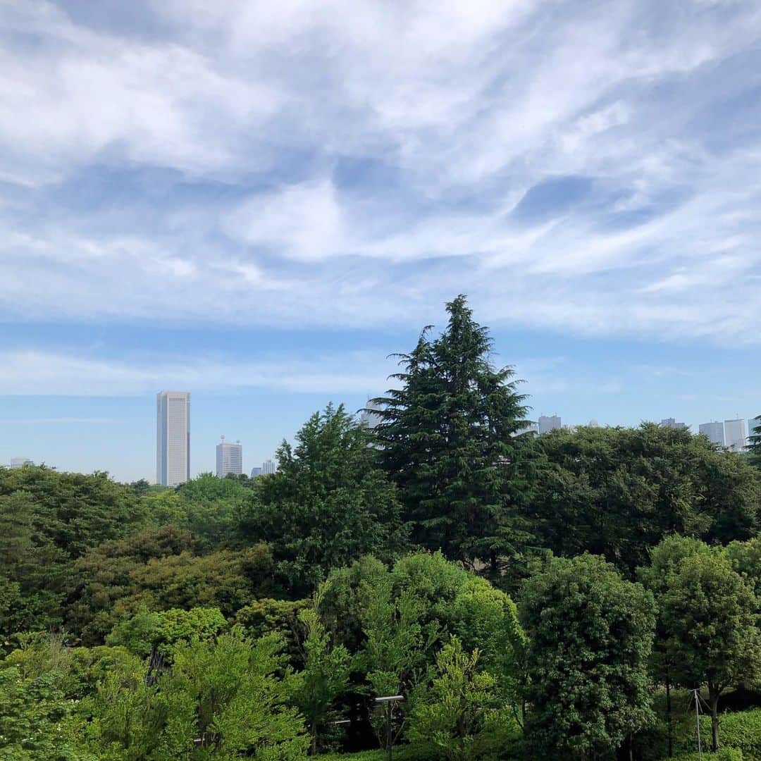 川坂勇太のインスタグラム：「東京の空。 すでに28℃を超えている東京は、この後どこまで上がるのか？ 熱中症の危険度も高い。  #いまそら #東京 #熱中症」