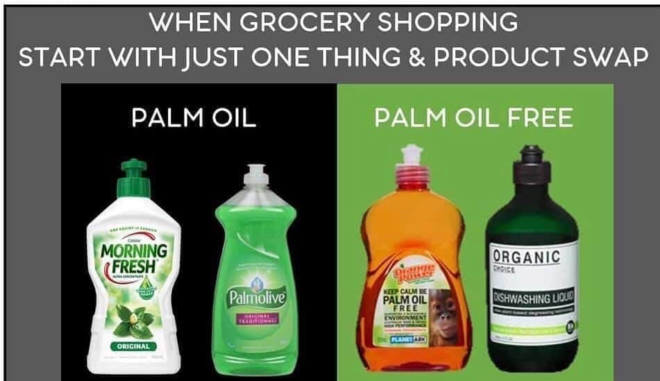 OFI Australiaさんのインスタグラム写真 - (OFI AustraliaInstagram)「If going palm oil free seems too hard or overwhelming just start with one item you buy and swap to a palm oil free version. Every item you change will help.  ____________________________________ 🦧 OFIA Founder: Kobe Steele kobe@ofiaustralia.com | OFIA Patron and Ambassador: @drbirute @orangutanfoundationintl @orangutan.canada www.orangutanfoundation.org.au 🦧 🧡 🦧 #orangutan #orphan #rescue #rehabilitate #release #BornToBeWild #Borneo #Indonesia #CampLeakey #orangutans #savetheorangutans #sayNOtopalmoil #palmoil #deforestation #destruction #rainforest #instagood #photooftheday #environment #nature #instanature #endangeredspecies #criticallyendangered #wildlife #orangutanfoundationintl #ofi #drbirute #ofiaustralia」6月15日 9時50分 - ofi_australia