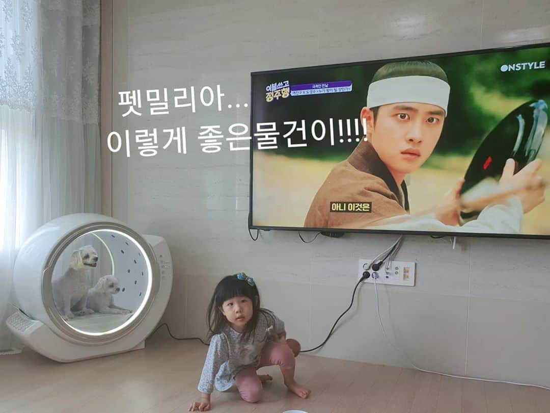 キム・ギドゥさんのインスタグラム写真 - (キム・ギドゥInstagram)「울 #둥이#짱이 #호강하네 ~~ 형보다 #좋은환경 에서 살고 있구나. 너희들의 행복은 형의 #행복 ♡ 산책 더 많이하쟈~~^^ ...... 만남이 있으면 이별도 있지.. 드라이기야 안녕!!!!~~ㅋㅋㅋ ...... #펫밀리아 #펫 #펫드라이룸 #드라이룸 #펫케어룸 #나도들어가고싶다 .. ...... 항상 그리운 #백일의낭군님 #원득이 #홍심이 #구돌 #끝녀 .. 빨리 뭉치길 #이불쓰고정주행 #MC들 기가막히 타이밍에 방송해주는 두작품들♡ #고마워요💕」6月15日 9時54分 - rlarlen0909