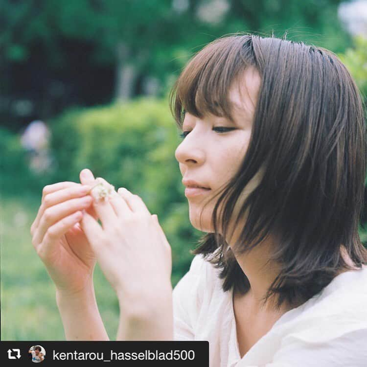 しじみさんのインスタグラム写真 - (しじみInstagram)「#repost @kentarou_hasselblad500 via @PhotoAroundApp 🎞Kodak PORTRA 400  Model  しじみさん  @amcche #hasselblad_diary #hasselbladculture #camera  #filmsnotdead  #hasselblad500cm  #carlzeiss  #splaner120  #c12 #kodak  #kodakfilm  #kodakprofessional_europe  #kodakportra400」6月15日 1時39分 - amcche