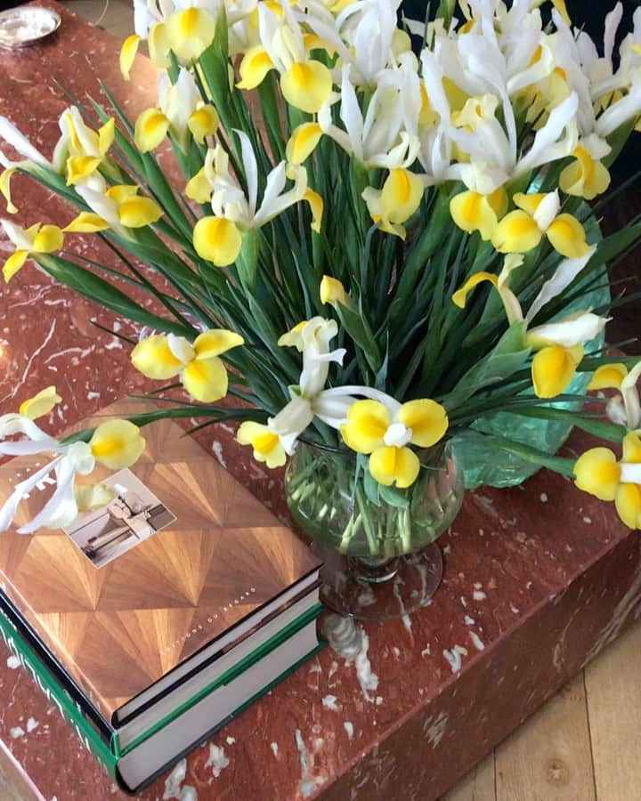 アレクシマビーユのインスタグラム：「Yellow Sunday @alexismabille @beaubowparis #irisjaune #iris #yellowiris #yellow #white #flowers #bouquet #delight #homesweethome #gardenfeeling #yellowsunday #sundaymood」