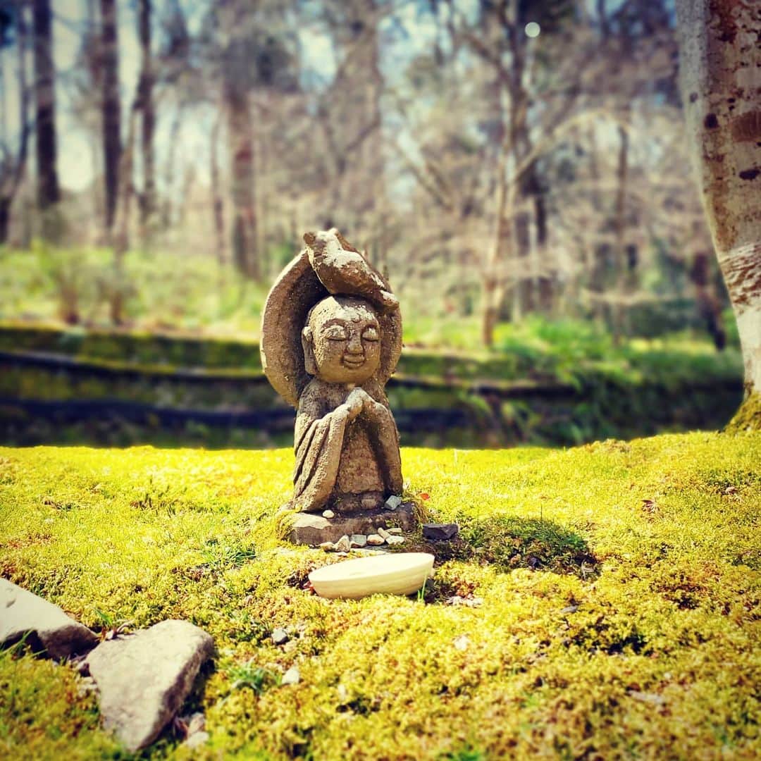 市川笑野のグルメインスタ