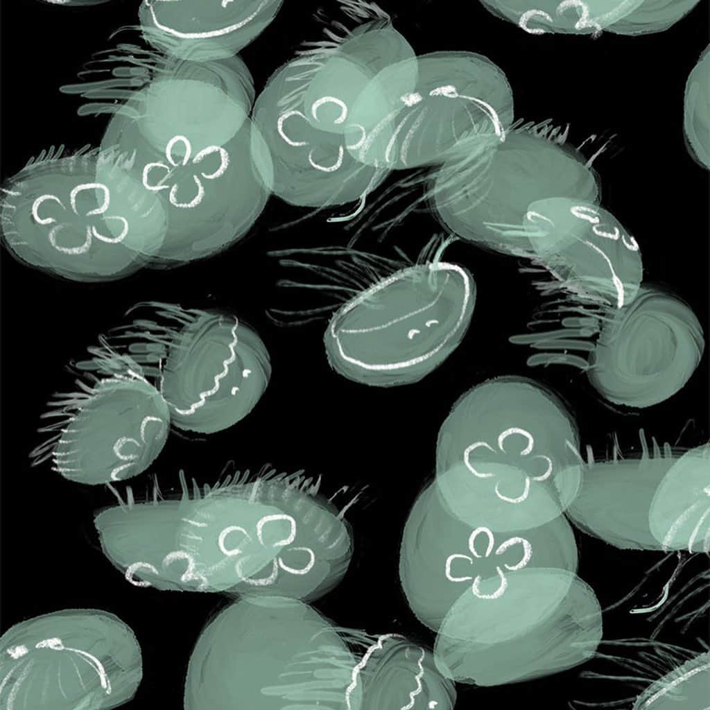 momoroさんのインスタグラム写真 - (momoroInstagram)「ふわふわぷかぷか  #クラゲ#クラゲ水族館 #jellyfish #illustration #momoro#ももろ#イラスト」6月15日 7時32分 - momoro6666
