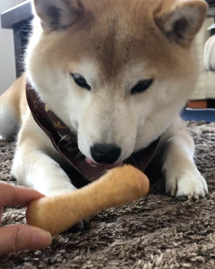 豆助左衛門（まめすけざえもん）のグルメインスタ