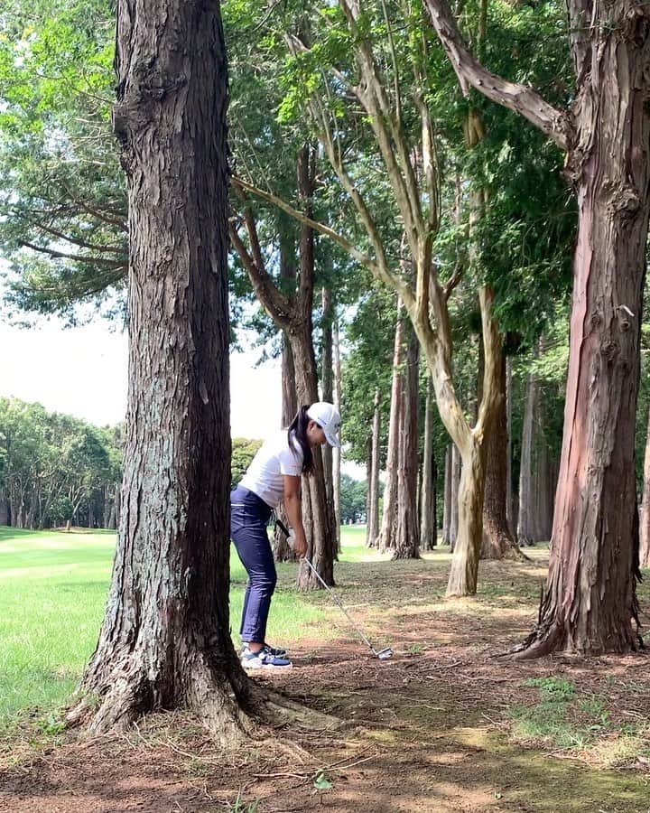 のインスタグラム：「. スーパーショット。 私には拓けた空間に見えタ...🌳🌳🌳 . #thisisgolf #木の下さん #空間デザイン  #神業 #＋2打 #ゴルフ . ⚠️試合では横にちょこんとだします。 .」