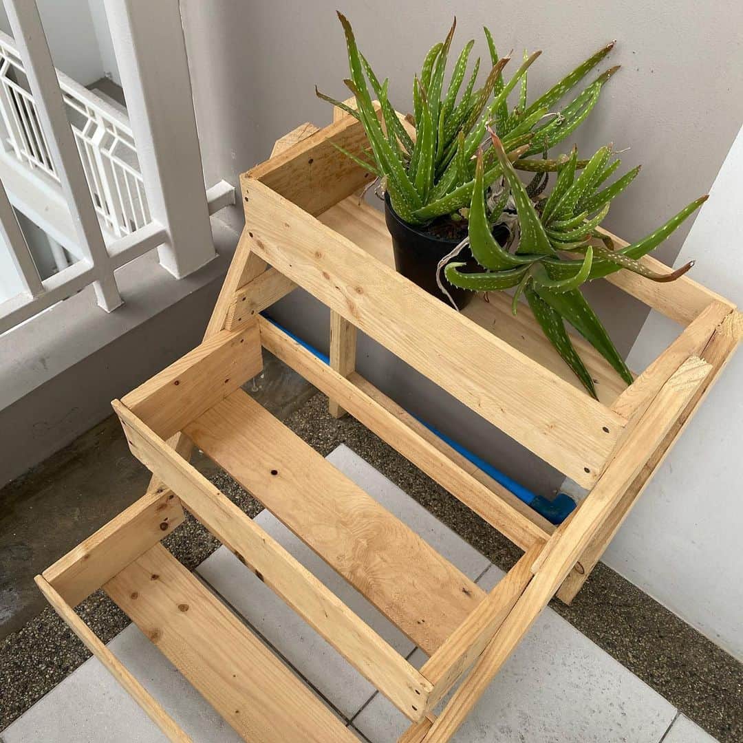 ローレン・ヤングのインスタグラム：「BEFORE AND AFTER ✨  Our Aloe Vera plant was getting quite lonely on its beautiful stand so we added some friends!  Rosemary, basil and mint! Perfect for adding some extra ooomf to all my meals. Thank you @maseta_ph!!! Reorganizing our kitchen too, watch out for that!!」