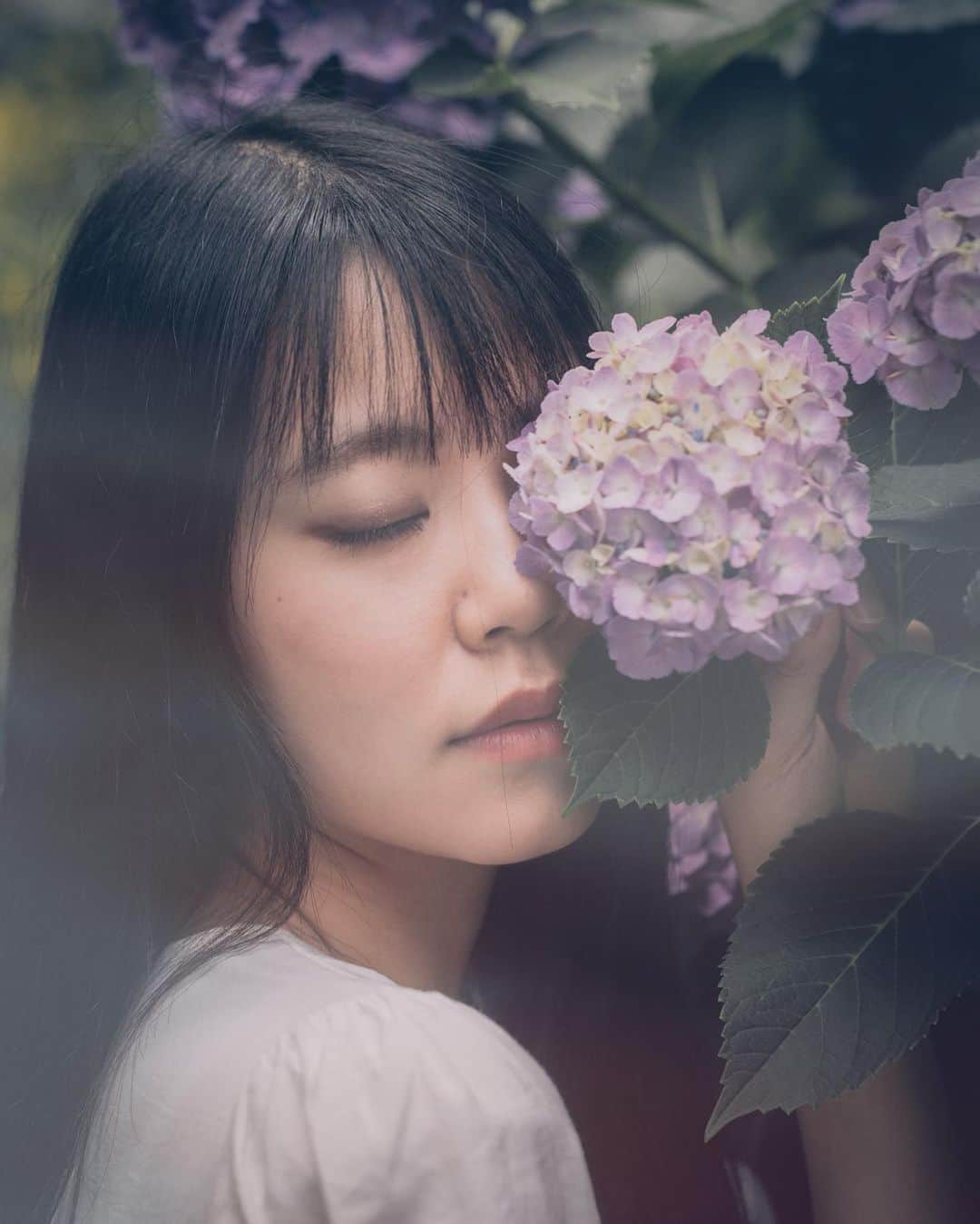 伴優香のインスタグラム：「#紫陽花」