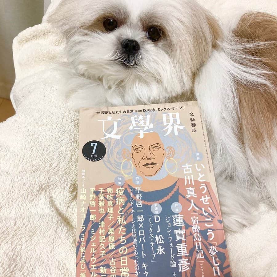 いとうせいこうのインスタグラム：「モコゾウも宣伝してくれてる今号『文學界』、僕の新作「夢七日」の文体お楽しみください。」