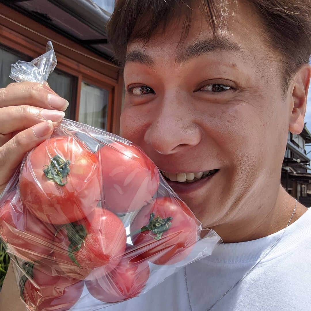 小椋ケンイチ(おぐねー)さんのインスタグラム写真 - (小椋ケンイチ(おぐねー)Instagram)「地元でめちゃめちゃ有名な 熊崎さんの【くまとま🍅】 他のトマト🍅とは比較にならないくらい甘くて美味しいトマトなのです!! トマトの販売機で買えるのだけど夕方行っても買えないくらい大人気✨ スライスしてお砂糖かけて食べても美味しいし 煮込んでスープにも パスタにも✨ 贅沢なトマトは幸せにしてくれますね😉✨♥🍅 #くまとま」6月15日 12時38分 - kenichi_ogura