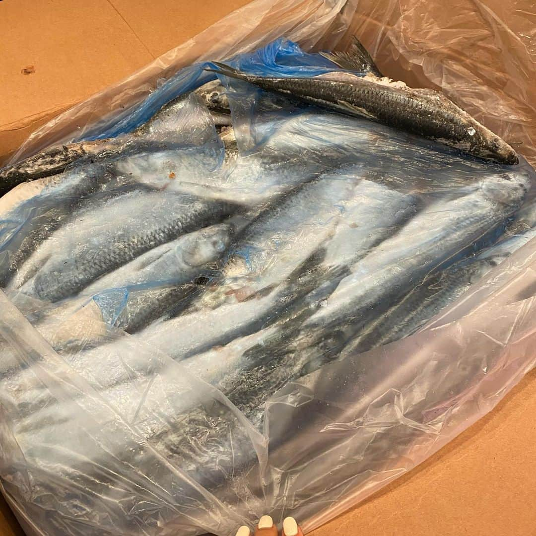 ユリ さんのインスタグラム写真 - (ユリ Instagram)「시원함이 고파지는 오늘 같은 날엔 🐟청어소바🐟  덤 으로  청어 알을 넣어 만든 청어알라면  난생처음으로  손질해본 청 ... ㅇ ㅓ ... 누구랑 같이 해먹었게 ^^??!! #유리한식탁 #유리한요리 #청어소바🐟 #にしんそば」6月15日 12時42分 - yulyulk