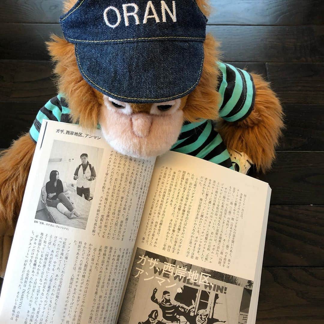 いとうせいこうのインスタグラム：「一方、俺の気に入ってるぬいぐるみ（オラン）には『群像』今月号「国境なき医師団を見に行く　ガザ、西岸地区、アンマン」を宣伝してもらうことに。」