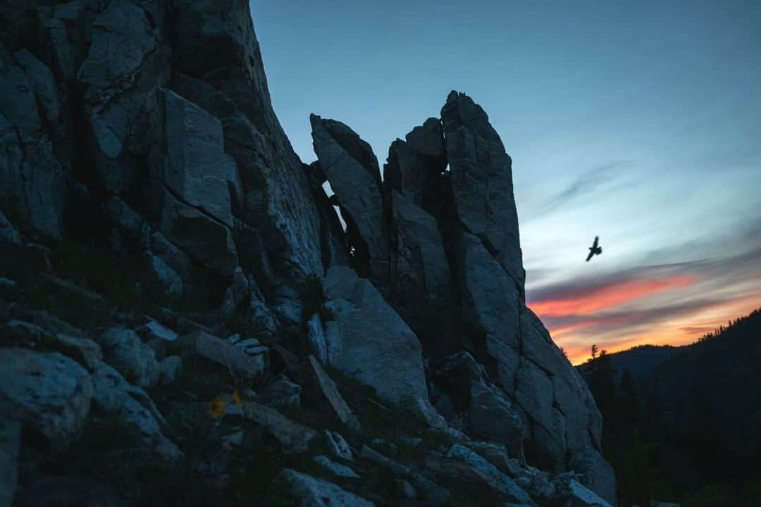 National Geographic Travelさんのインスタグラム写真 - (National Geographic TravelInstagram)「Photo by @steven_gnam | A chukar glides past a rock outcrop, where it will spend the night. This is from a photo series redefining travel during the shutdown, with scenes from my daily run exploring corners of my backyard. #Cascades #PNW」6月15日 13時10分 - natgeotravel