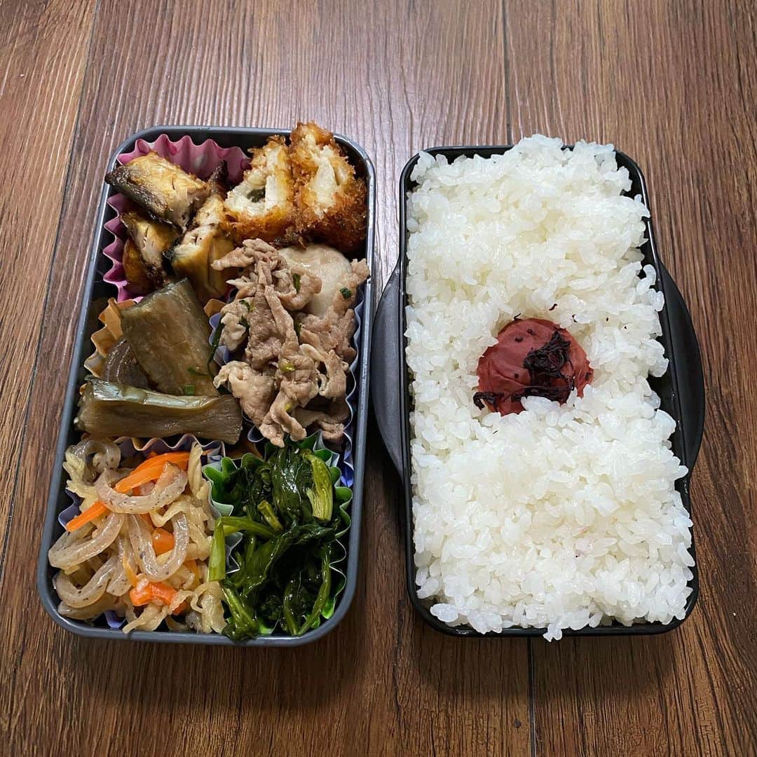 小田幸平のインスタグラム：「今から昼休み。弁当頂きまーす🍱#愛媛マンダリンパイレーツ#練習#中日ドラゴンズ#読売ジャイアンツ#はげch#豚#梅干し#ほうれん草#切り干し大根#ナス#魚」