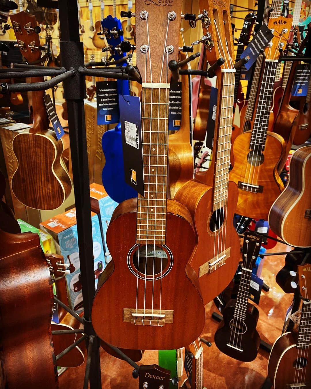 吉野紗香のインスタグラム：「How about your ukulele?✨あなたのウクレレはどうです？✨　#ukulele #ウクレレ」
