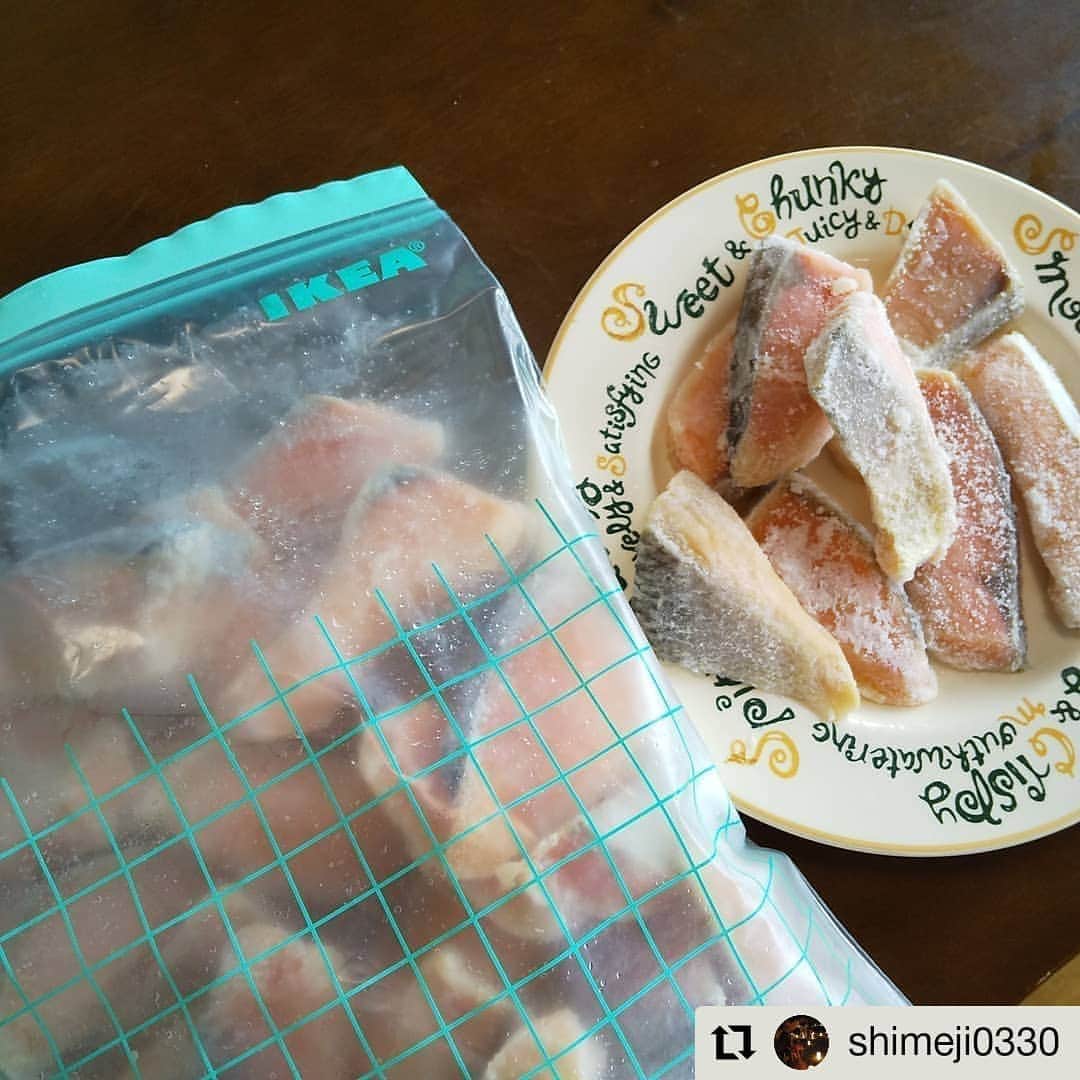 のインスタグラム：「ユーコンチャム、ご購入頂きましてありがとうございます≧[ﾟ∇ﾟ]≦✨ ユーコンチャムは完売してしまいましたが、他のお魚でも依頼が入っており ただ今検討中なのです🐟🐟 決まり次第こちらでもお知らせいたします🎵 どうぞよろしくお願いいたします✨  #Repost @shimeji0330 • • • • • • もう完売しちゃってるや…。鮭切り身50切れ！冷凍送料込みで2,000円切ってたのは安すぎだった。堪能します。#甲羅組 #通販衝動買い  https://item.rakuten.co.jp/kouragumi/200169/」