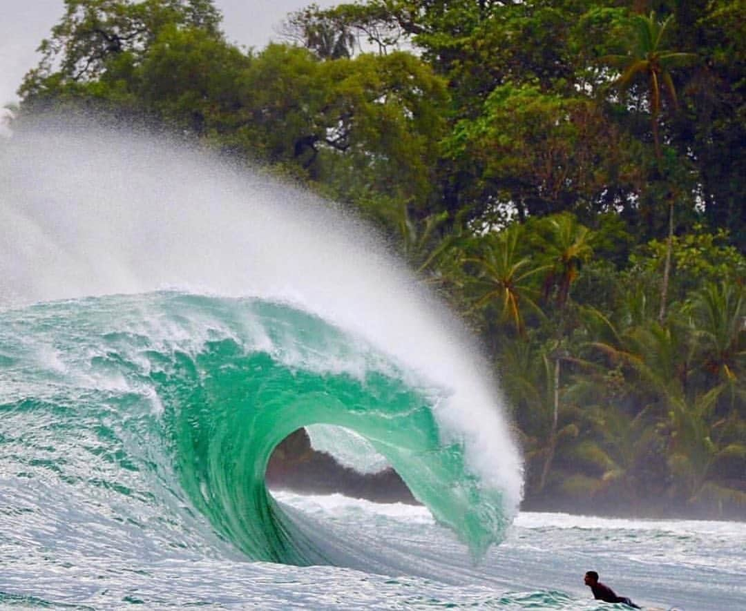 Surf Magazineさんのインスタグラム写真 - (Surf MagazineInstagram)「Who do you think won this Caribbean standoff, @nathan_florence or the fabled Panamanian 🦍? Photo by @redfrogbungalows」6月15日 14時36分 - stab