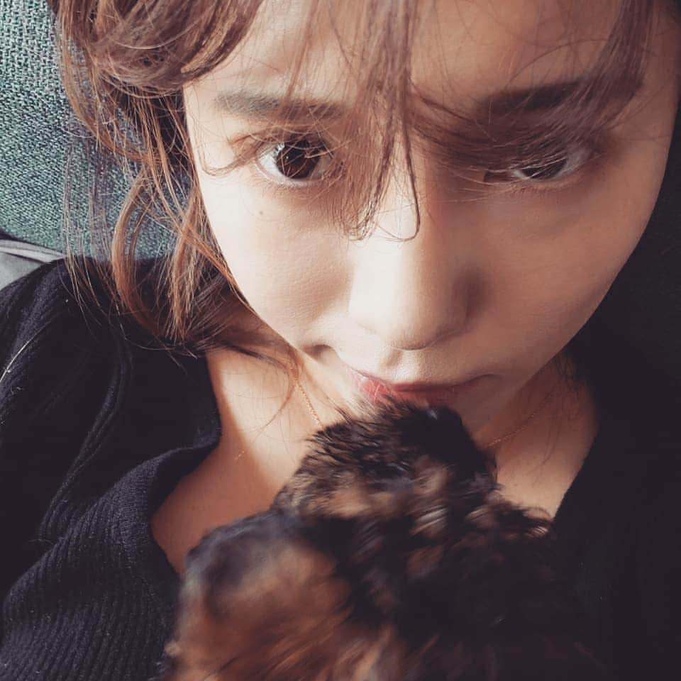 Pileさんのインスタグラム写真 - (PileInstagram)「. #❤️ #🐶 #poodle  #pomeranian」6月15日 14時40分 - pi_channnn52