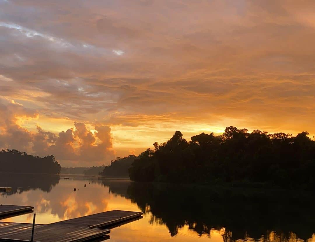 畑田亜希さんのインスタグラム写真 - (畑田亜希Instagram)「MacRitchie Reservoir Park ・ シンガポールにこんな絶景があったなんて✨ ・ 綺麗過ぎて言葉にならない❤️ ・ 約10キロのハイキングコース⛰ Tree top walk は残念ながら閉まってて行けなかったけど、この夕陽を見れて大満足🥰 ・ 途中豪雨で泥だらけ、ビショ濡れになったけど、どれも楽しかった〜😆⛈ ・ 真っ白いスニーカーが帰りはブラックに🖤 ・ #2020 #sg #singapore #macritchiereservoir #macritchietreetopwalk  #sunset」6月15日 15時05分 - akihatada