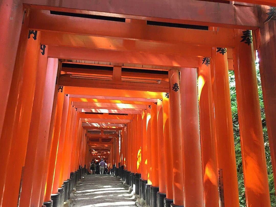 関西LIFE－homelife－さんのインスタグラム写真 - (関西LIFE－homelife－Instagram)「【京都府・京都市】 千本鳥井に圧倒される！【伏見稲荷】 朱塗りの鳥居がズラリと連なる光景は、圧巻のひとこと！ 江戸時代以降に、願いごとが「通るように」 鳥居を奉納する習慣が広まったそうですよ(*^^*) . . @homelife_local では #homelife_兵庫 では兵庫のいいところを紹介していきます。みなさんの大好きな兵庫を教えてください。 . . #伏見稲荷 #神社 #稲荷 #鳥井 #千本鳥井 #お稲荷様  #ウォーキング #散歩 #伏見稲荷駅 #圧倒 #伏見区 ＃運動 #自然  #絵馬 #伏見観光 #伏見レジャー #伏見人気スポット #京都レジャー #京都巡り #京都旅行 #京都観光 #京都旅 #そうだ京都行こう #観光 #旅行 #京都 #japan #japantrip #japantrip2020 #kyouto」6月15日 15時07分 - archihome_local