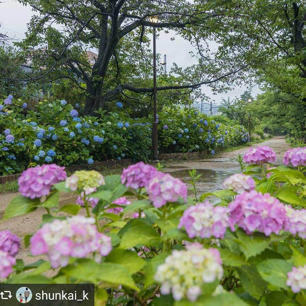 兵庫県のインスタグラム