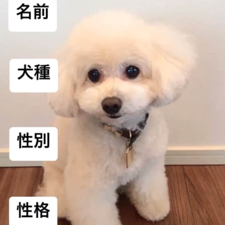 板野成美のインスタグラム：「🤍🤍🤍」