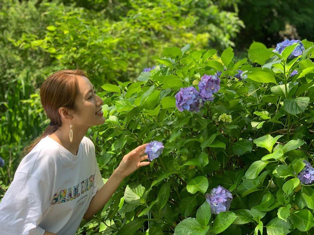 守永真彩さんのインスタグラム写真 - (守永真彩Instagram)「. . 梅雨の天気って、気持ちもどっちつかずになりやすい...きがする☁️ まぁでも、それもそれでありですね🌷 . . 今日の紫陽花がとても綺麗でした☺️️✨ 密を避けながらお散歩するのは気持ち良いです⛅️️✨ . . 👗 Tシャツ　@uniqlo . . #早速着ました #コラボtシャツ #billieeilish #村上隆　#UNIQLO #袋から出してすぐ着たので #袖くしゃくしゃ笑 #紫陽花 #💙」6月15日 17時36分 - maayamorinaga