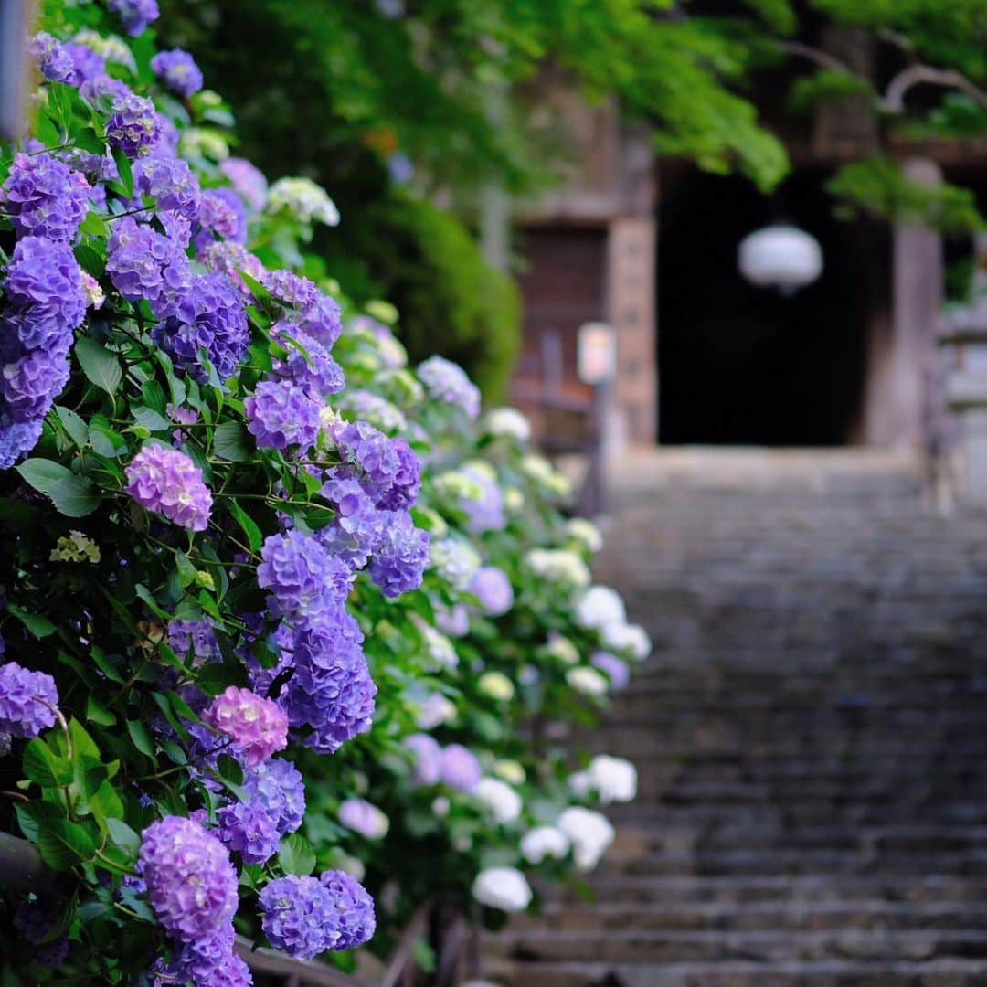 奈良 長谷寺 / nara hasederaのグルメインスタ
