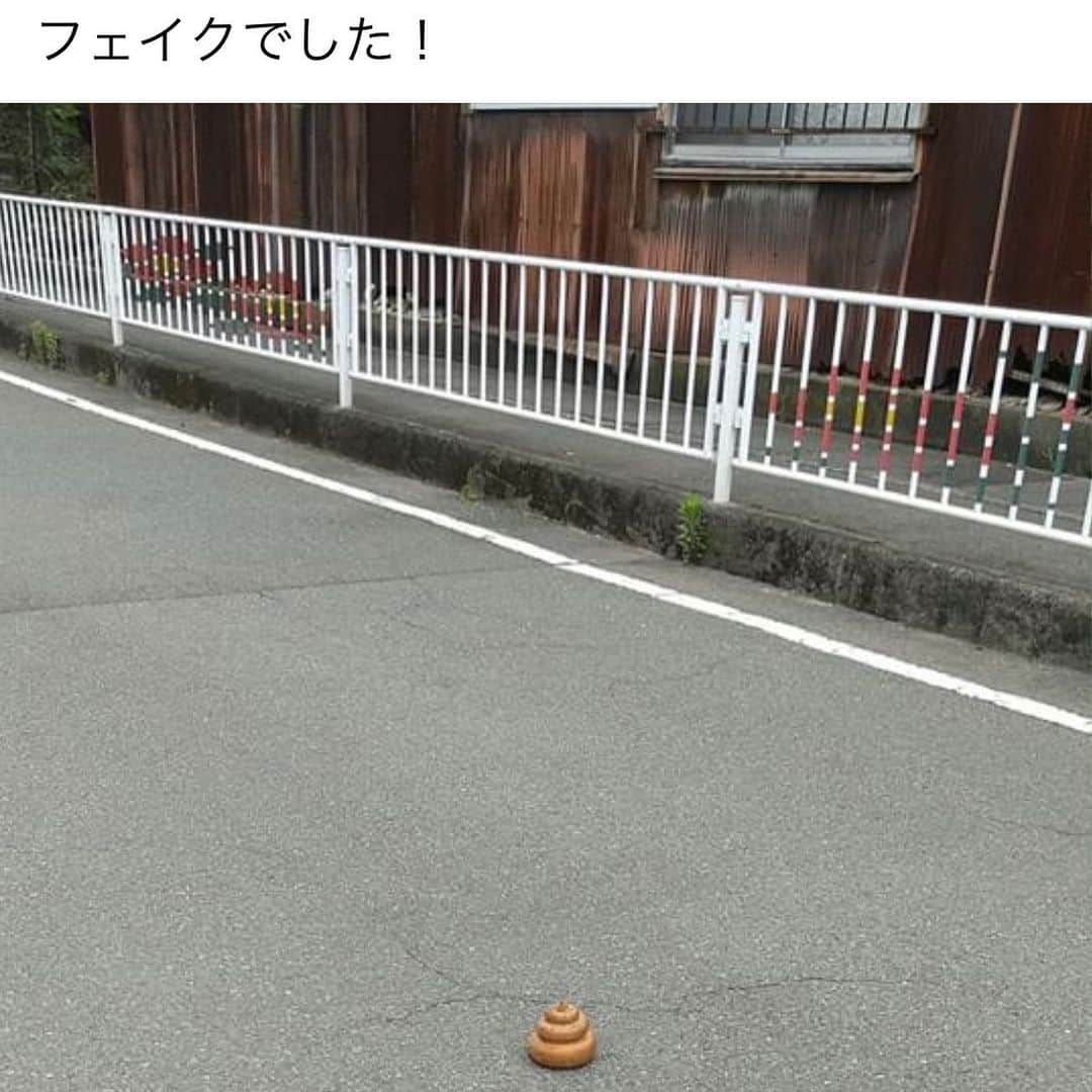 柴犬 たろさんのインスタグラム写真 - (柴犬 たろInstagram)「*. タロのうんこの💩おもちゃが、 道端に落ちてたようで、Facebookに投稿されてました。 投稿した後、無事にタロの元に届けてくれました。  昨日、車のタイヤの下敷きになってたので、うん子つけたまま、走ったんでしょうね 🚗³₃Boooon!!💩 ✩ *  #タロのおもちゃ💩バレてる #友達が見つけて持ってきたよ #shibainu #japanesedog #柴犬」6月15日 19時58分 - tarochantarochan