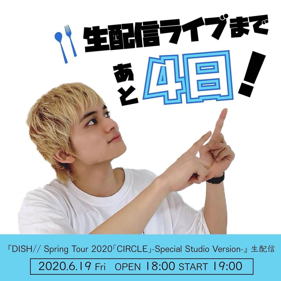 DISH// Spring tour 2020 CIRCLE バンT サイズL DISH// Spring Tour 2020「CIRCLE」 オフィシャルグッズ一部事前通販の