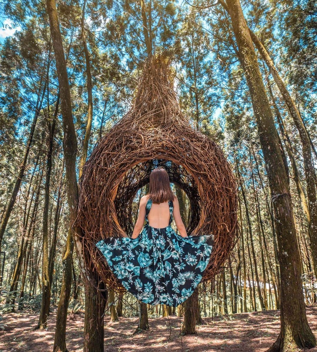 樂さんのインスタグラム写真 - (樂Instagram)「南投九樹森林。峇里島鳥巢🌲 完全沒看錯這個鳥巢就在台灣，再一次圓了我的峇里島夢🥺 老闆特別去峇里島花了三個月時間訂製，再運回台灣的鳥巢，真的太美了☺️ Tag朋友一起來拍照吧📷 With / @irenejian」6月15日 20時24分 - ygt1016