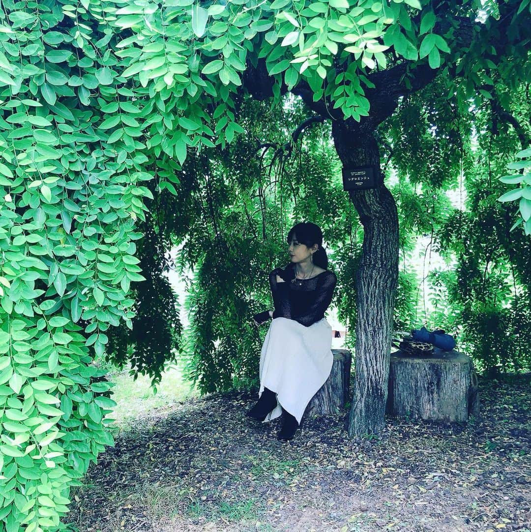 瑛蓮のインスタグラム：「ドキドキした時とかに、狭い所に入ると安心すると聞きましたが、入ってみましたが、どうやら、ほんとっぽいです。安心感、半端ないです。  #瑛蓮 #安心感半端ない」