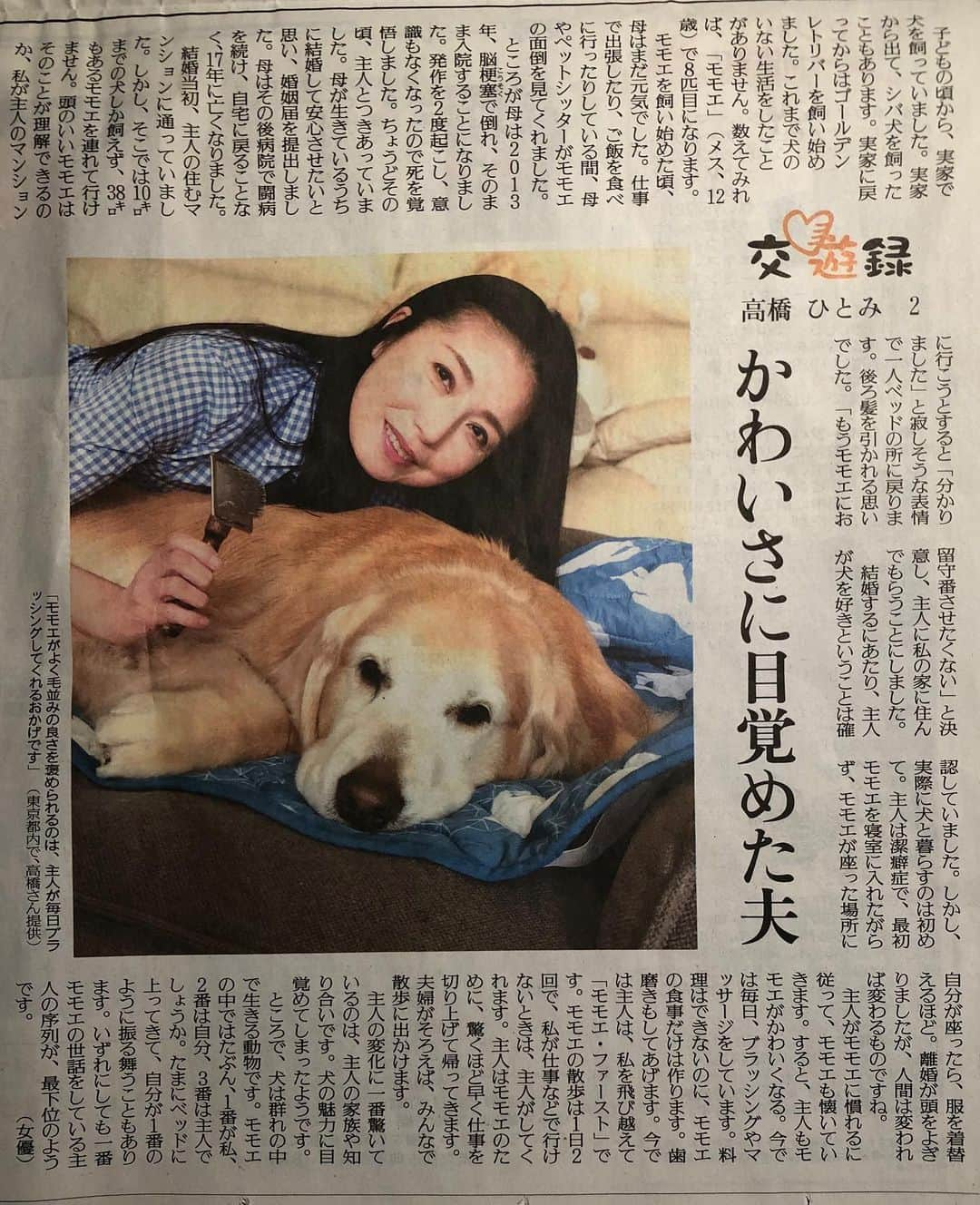 高橋ひとみさんのインスタグラム写真 - (高橋ひとみInstagram)「本日6月15日(月) 読売新聞　夕刊 「ペットらいふ　交遊録🐾」 モモエの記事が掲載されました(第二話) 毎週月曜日、あと二回掲載予定です。 写真はお父さん撮影です。 #読売新聞夕刊」6月15日 21時02分 - hitomi_momoe