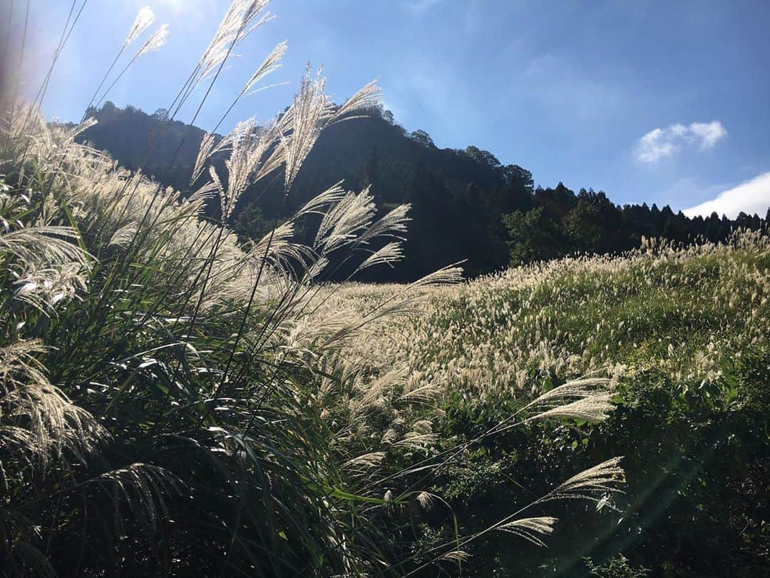 田中伊桜莉さんのインスタグラム写真 - (田中伊桜莉Instagram)「熊本で好きな景色✨﻿ ﻿ 〜熊本県阿蘇・俵山〜﻿ ﻿ #熊本#熊本景色#熊本観光#俵山」6月15日 21時48分 - iori_hkt48