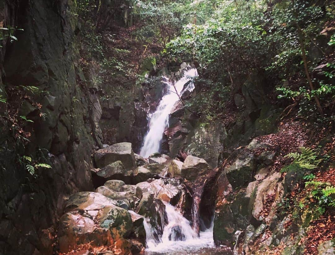 太田江莉奈さんのインスタグラム写真 - (太田江莉奈Instagram)「初夏恒例の滝🧘‍♀️ 涼を求めて🍃 やっぱり自然最高！ . .  #滝 #御手洗の滝  おてあらいではなく。 おちょうずと読むよ。 #佐賀#佐賀観光 #登山#ハイキング#立石山#カエル」6月15日 22時26分 - erina_o_