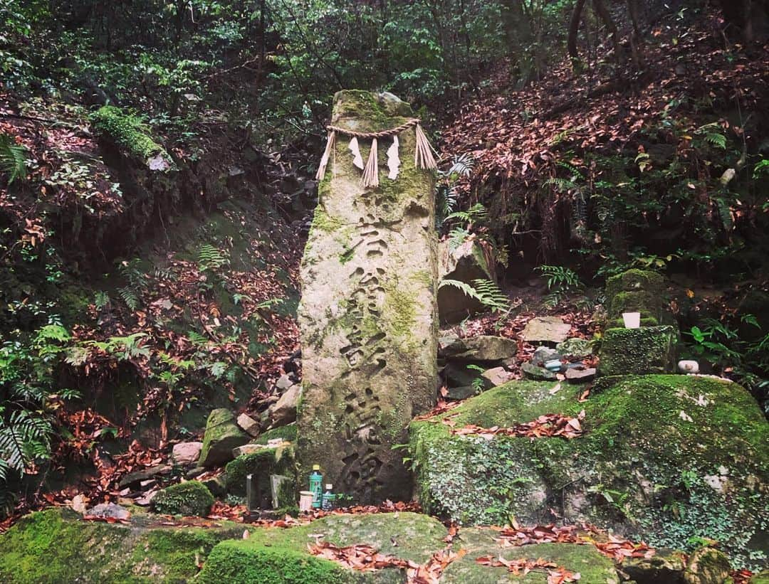 太田江莉奈さんのインスタグラム写真 - (太田江莉奈Instagram)「初夏恒例の滝🧘‍♀️ 涼を求めて🍃 やっぱり自然最高！ . .  #滝 #御手洗の滝  おてあらいではなく。 おちょうずと読むよ。 #佐賀#佐賀観光 #登山#ハイキング#立石山#カエル」6月15日 22時26分 - erina_o_