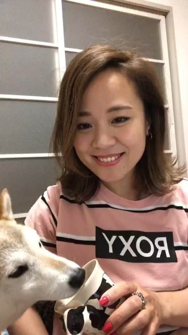 hoshinofumikaのインスタグラム：「いぐっちゃんとのコラボ見てくれてありがとう🌼」