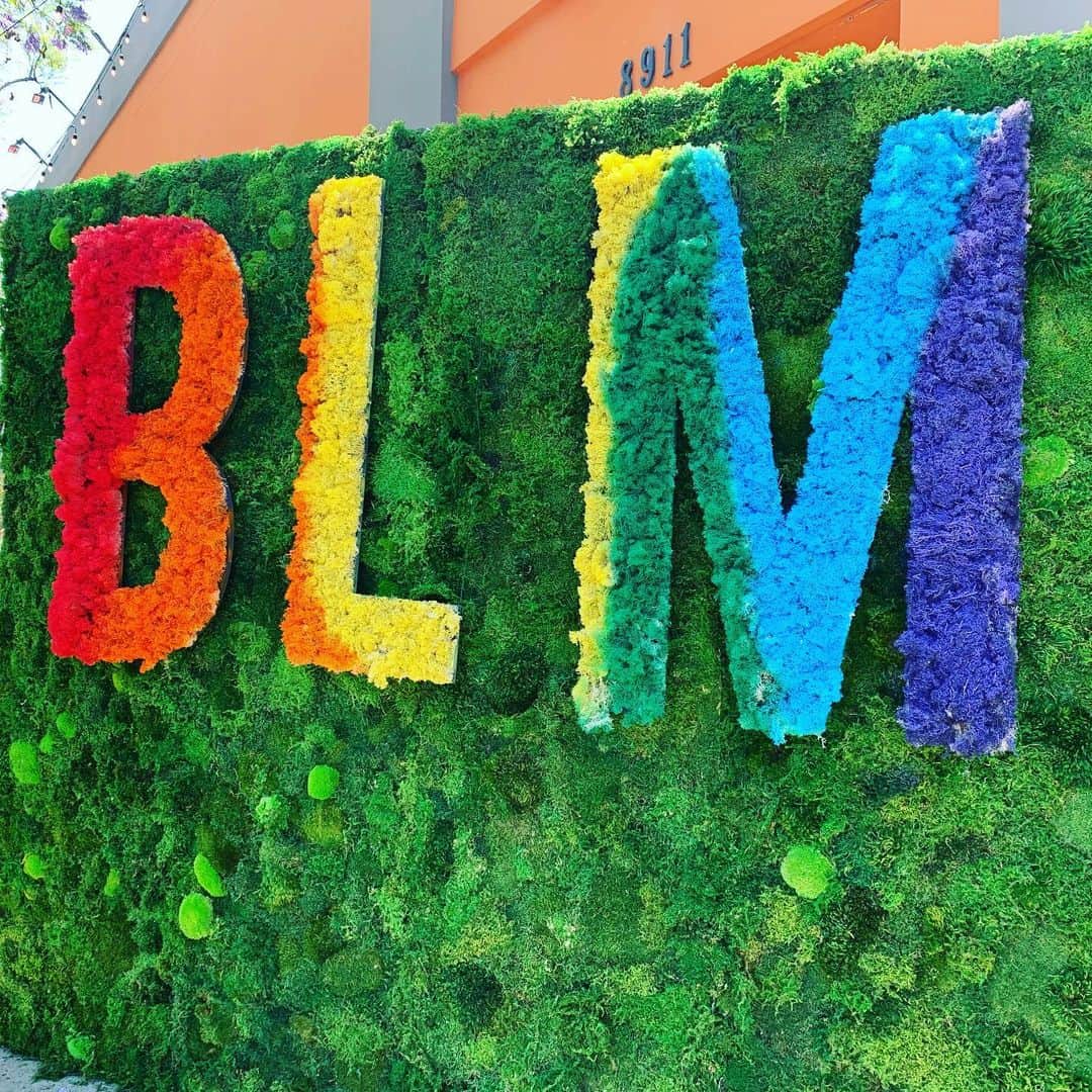 アマンダ・シュルのインスタグラム：「No comments. Just love. #blm #allblacklivesmatter」
