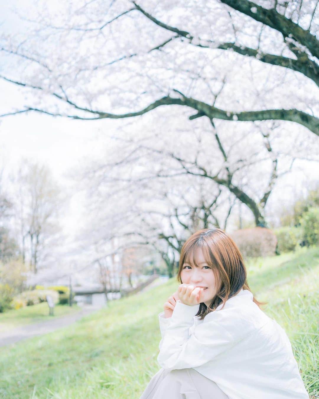 弘松菜摘のインスタグラム：「﻿ ﻿ 春が来るとこの川辺は﻿ 桜がめいっぱい咲き乱れるんだ﻿ ﻿ ﻿ ﻿ #sakura」