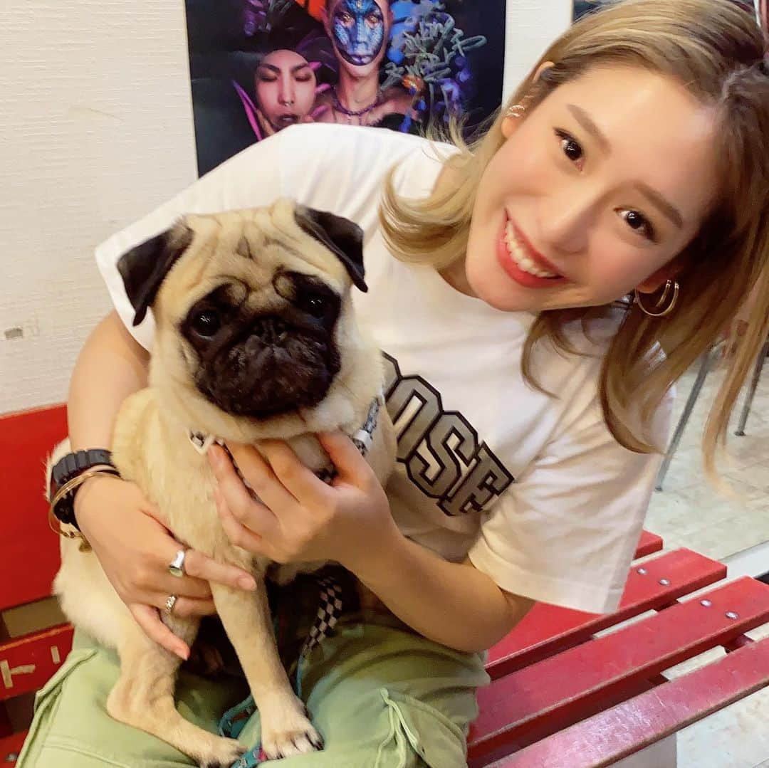 acaneさんのインスタグラム写真 - (acaneInstagram)「・ やっと #NOBOSE犬 の ゴンちゃんに会えた！！！！ んもうううめっちゃ可愛かった ほんとうにほんとうに🥺❤️笑 ・ 最近動物愛がすごすぎるけん 落ち着きたい🐶🐱❤︎爆 最後のゴンちゃんまで見てね、やばいけん！笑 ・ #ゴン太 #パグ #NOBOSE #もうすぐコラボ服出ます #たのしみすぎ！」6月15日 23時40分 - acane0129