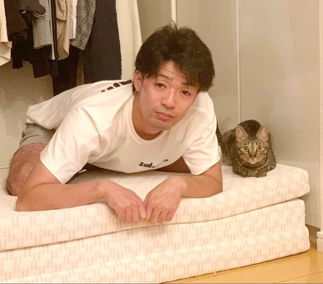 辻井亮平さんのインスタグラム写真 - (辻井亮平Instagram)「どっちが猫なんか全く分かれへんな、、、。 #猫好きさんとうわべだけではなくお互いがかけがえのない存在として過ごしていけるなら繋がりたい #山さん」6月16日 5時06分 - aironhed_tsujii