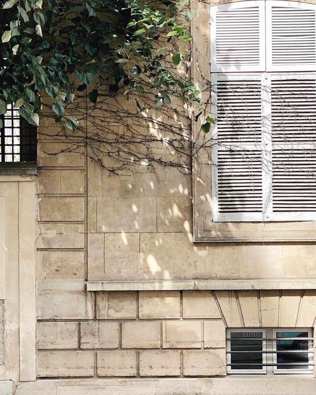 Carin Olssonさんのインスタグラム写真 - (Carin OlssonInstagram)「A little corner that makes me feel as though I’ve been transported to Provence for a second 😌🍃」6月16日 0時38分 - parisinfourmonths