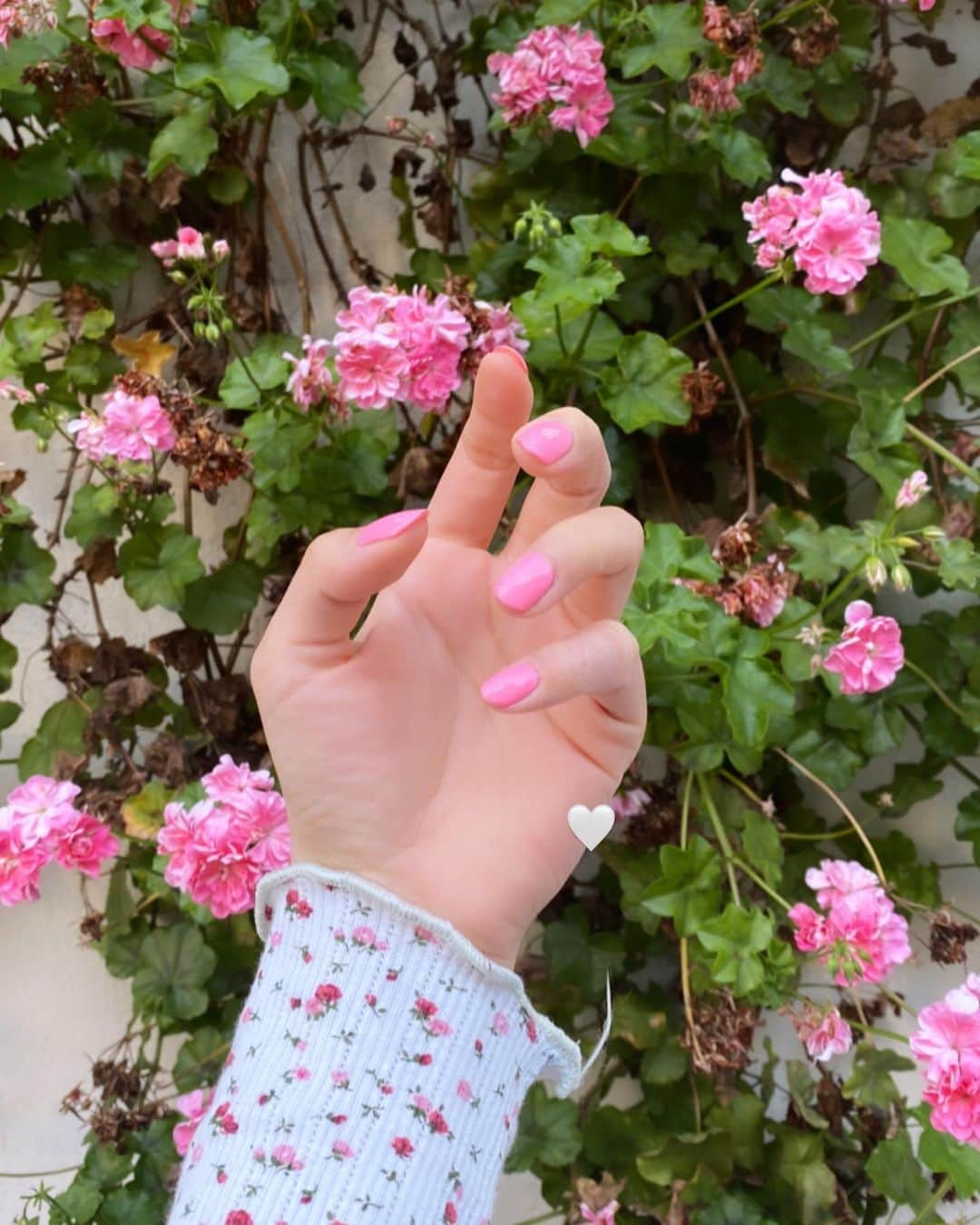 NASUさんのインスタグラム写真 - (NASUInstagram)「タイプな色を見つけてから self nailにハマってる💅 今、ポリッシュで好きな色味を集めてて 休みのたびに変えるのが楽しい☺️🌼 #nasupのきぶん」6月16日 0時44分 - nasup