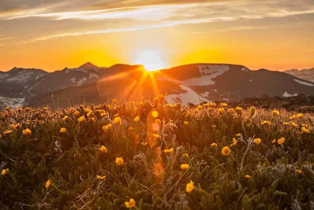 Ricoh Imagingのインスタグラム：「Posted @withregram • @frankleeruggles Sunset at 12000 feet. Rocky Mountain National Park.  Good Night, Ya'll.  @rockynps #rockymountainnationalpark #leefilters @leefilters @ricohusa #instapic #photooftheday #beautiful #picoftheday  #pentax645z #sunset #sunsets #pentax645ambassador @ricohpentax  #mediumformat #instaphoto  #landscapephotography #nationalparkgeek #earthpix  @nationalparktrust #earth_shotz  #NPGeekAmbassador #optoutside #nationalparkgeek @natgeo #photooftheday. #istagood #nofilter #igers  #outdoorphotomag  #photooftheday」