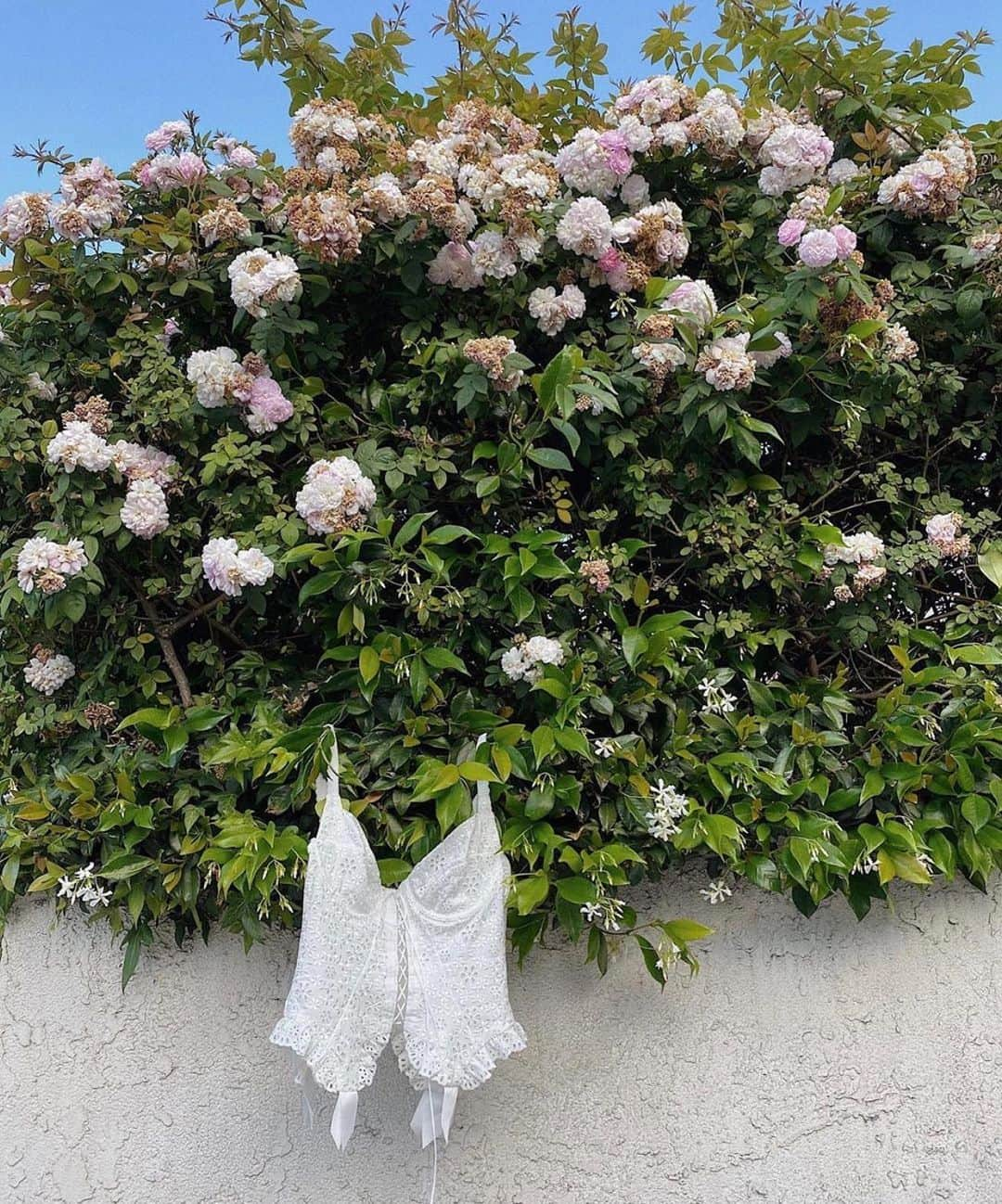 For Love & Lemonsさんのインスタグラム写真 - (For Love & LemonsInstagram)「Hanging in there with the Sophie Eyelet Bustier via @minamarlena #FLLforVS 🤍」6月16日 3時11分 - forloveandlemons