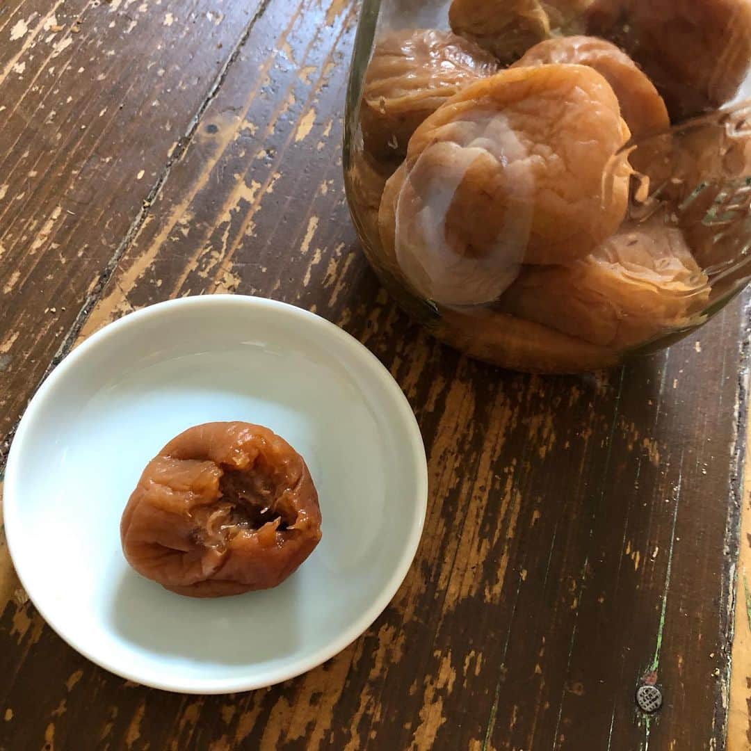 日登美さんのインスタグラム写真 - (日登美Instagram)「How to make Umeboshi with Apricot🍑  I’ve been developing how to make Umeboshi with Apricot in Germany since I came to here.  All you need is Apricot, 10% of honey, 10 % of sea salt.  I don’t add any citric acid in it.  When it’s done, I don’t eat it immediately, let it sit for a year instead!  That’s the Key😏✨ ドイツでも美味しい梅干しが作れんもんかと試行錯誤して五年。 て、案外たった五回のチャンスしかない。 季節の仕事は年一回。梅干しだって日本で漬け始めたのはまだ15年くらい前て言えば、たったの15回のチャンス。もちろんシーズンに何度かできるが、やはり一年に旬は一度きり。 いやはや、おばあちゃんになるまでにどれくらいコツを掴めるのか真剣勝負だね。 田舎に暮らしていた時によく思った。旬は一度きり、と言う言葉。ずしりと今でも心に響く。まるで子育てと同じような…  ともあれ、わたしはクエン酸など添加して酸味を足すのでなく、蜂蜜を足すことで酸味が引き出せることを発見しました🐝👍😏 材料はアプリコットに10%の蜂蜜、10%のお塩で作ります。出来上がって一年寝かせてから食べるのがミソ。塩の角がとれ、味がまろやかになります。 日本の出汁梅干し？旨味梅干しみたいな仕上がりになりますの😳 けどあのすーっぱい梅干しは残念ながらできない。杏だと酸味より塩が勝ってしまうのです。 やはり杏と梅の性質は似て非なるもの。 効能も同じことは期待できないのだろうけど。  それでも食卓を彩るドイツ式梅干し。 杏だからこその良さ。春先に食べる杏梅干しは格別です。 体がほっと緩むような酸味と甘さ。これはもしかするとドイツならでは、かもしれません。 さ、今年も色々実験してみよう。 台所からの日独文化の融合を実践中なり。  #fermentation #umeboshi #japanesefood #traditional #developing #berlin #food #hitomisküche #梅干し作り #レシピ #ドイツ #アプリコット #発見 #伝統食 #日本 #ベルリン #日登美」6月16日 3時26分 - hitomihigashi_b
