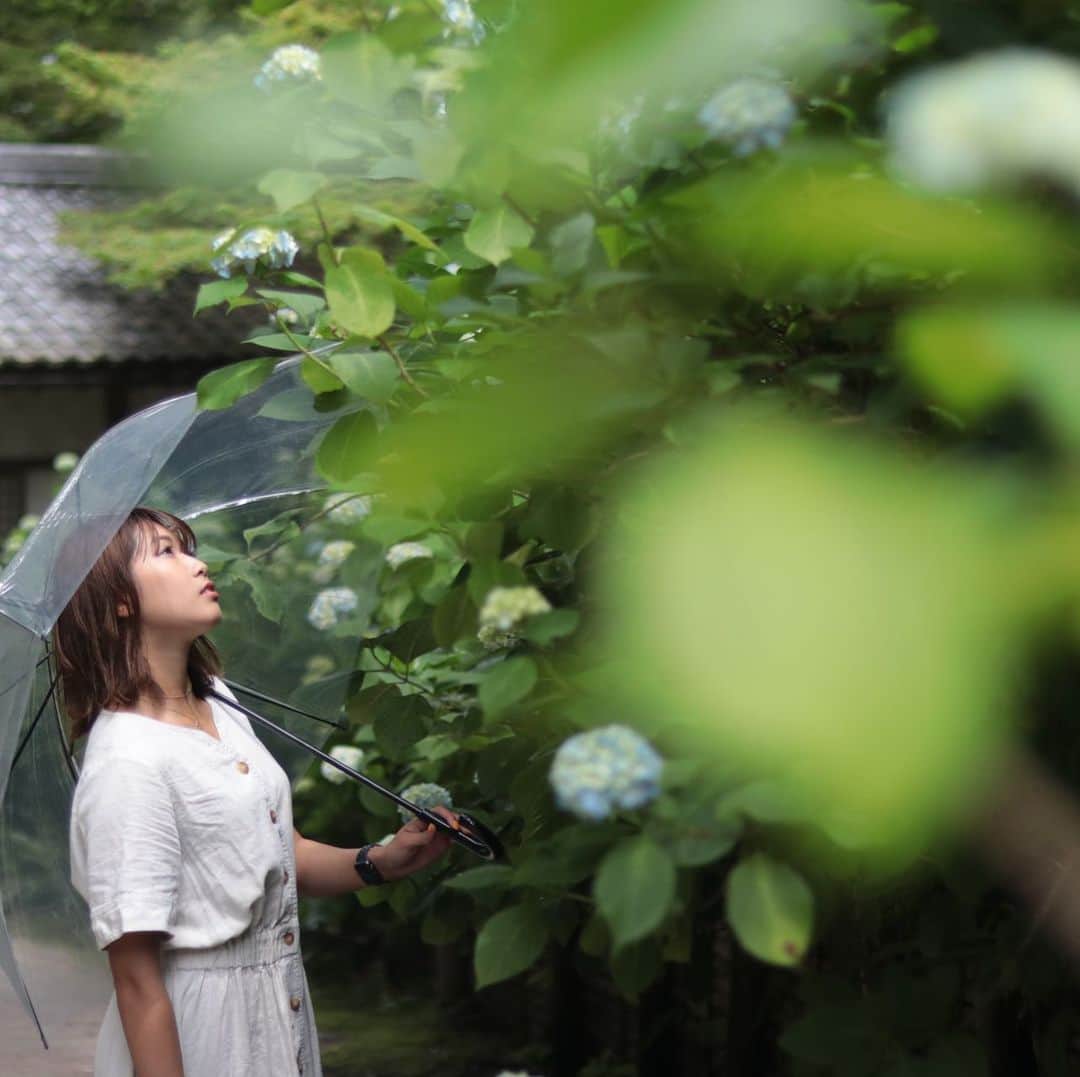 のインスタグラム：「. 去年の写真を載せる☔️」