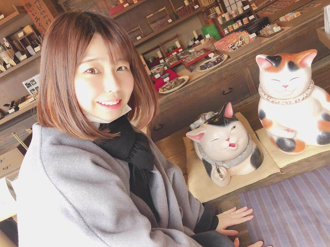 今井瞳さんのインスタグラム写真 - (今井瞳Instagram)「🐈 ㅤㅤㅤㅤㅤㅤㅤㅤㅤㅤㅤㅤㅤ かわいい猫さんみっけ！！」6月16日 13時28分 - i_hitomi_0531