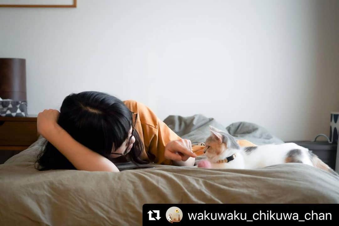 ねこさんのインスタグラム写真 - (ねこInstagram)「【#ねこは人を笑顔にする】❣️ ずっと一緒にいるよ☺️離れないよ☺️だいすき❣️ @wakuwaku_chikuwa_chan さん、ありがとう🌼✨ #Repost @wakuwaku_chikuwa_chan with @make_repost ・・・ . 大丈夫、ずっと一緒だよ😊 . . 帰宅して お昼寝しようとしたら 寂しかったよ～😿 遊んでよ～　って… . 心配させてごめんね . 👩🐱 #スタンドバイニャーコンテスト #猫びより . --- #ねこすたぐらむ #にゃんすたぐらむ🐾 #ニャンスタグラム #ねこちゃんホンポ #みんねこ #ペコねこ部 #ねこのきもち  #nekoclub #猫のいる生活 #猫のいる暮らし #ひじきとちくわ #ちくわ猫 #猫好きさんと繋がりたい #三毛猫 #パステル三毛 #三毛猫部 #ねこ部 #猫部 #保護猫 #ねこは人を笑顔にする #catstagram_japan #catsofinstagram #calico #dilutecalico」6月16日 13時32分 - neko_magazine