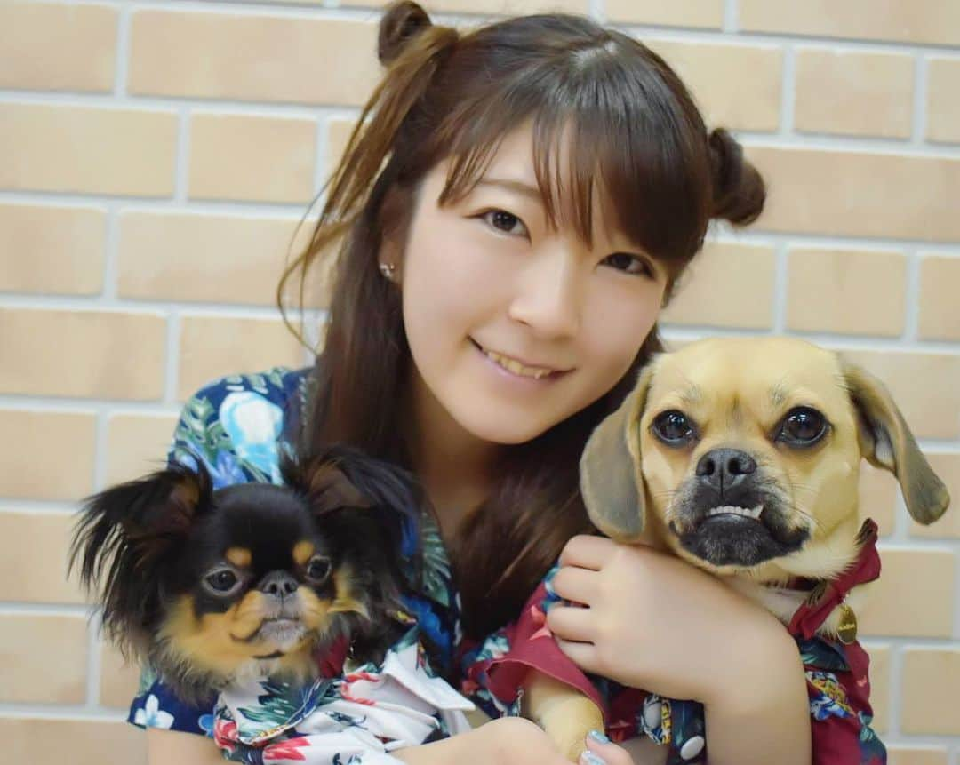 服部彩香さんのインスタグラム写真 - (服部彩香Instagram)「愛犬とアロハシャツオソロしたかわいい🌺💓 . .  #パグックス #パグミックス #ダックスミックス #チワワ #チワワミックス #狆 #狆ミックス #狆チワ #ミックス犬 #ミックス犬愛好会  #いぬ  #愛犬 #いぬすたぐらむ  #いぬバカ部  #いぬばか  #いぬのいる暮らし  #いぬのいる生活  #犬好きな人と繋がりたい  #犬好きさんと繋がりたい #ポートレート #モデル #グラドル #被写体」6月16日 13時32分 - ayasyan1112